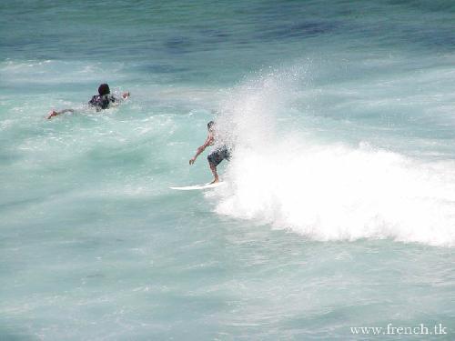 Bondi Beach - Sydney